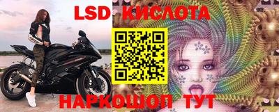 винт Аргун
