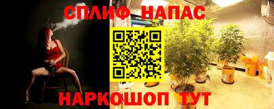 мяу мяу мука Балашиха