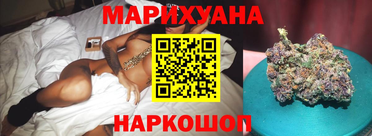 Канабис сатива  Берёзовский  Марихуана план 